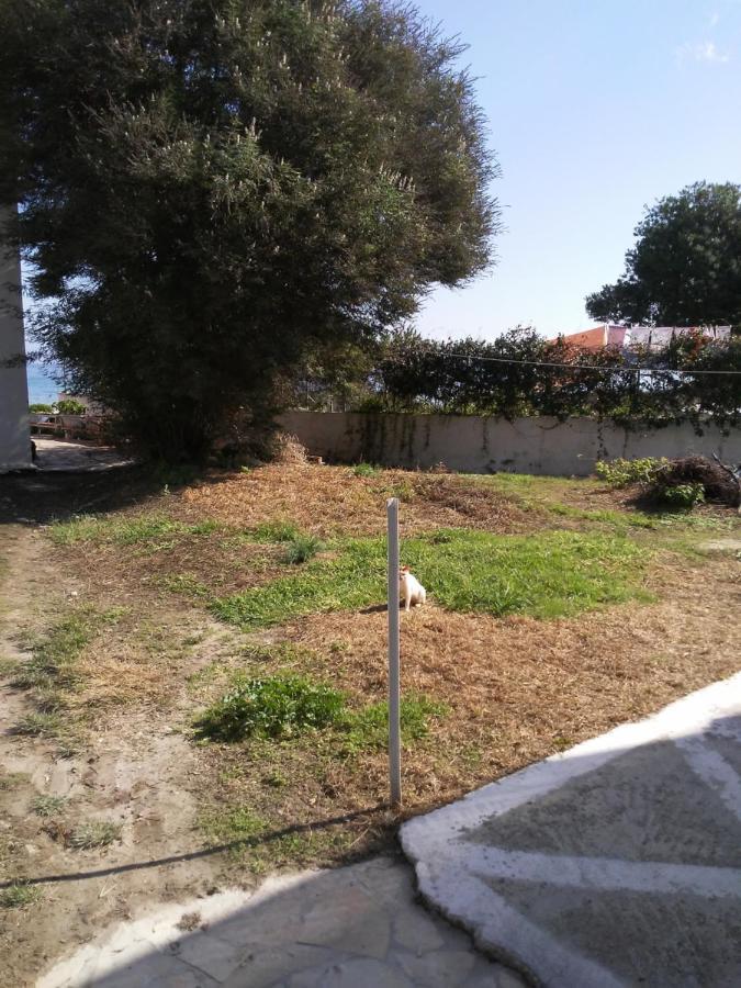 Dimitris Apartments Messongi Meszongí Kültér fotó